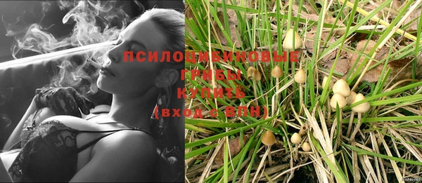 MESCALINE Магас