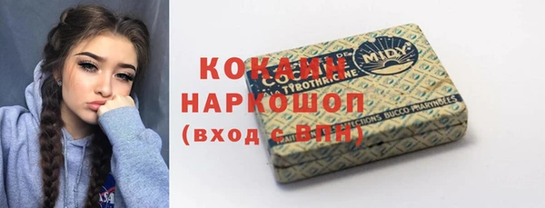 PSILOCYBIN Майский