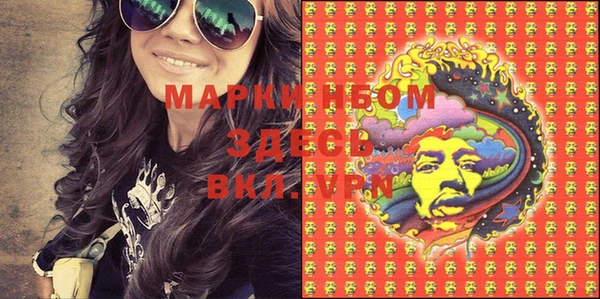 PSILOCYBIN Майский