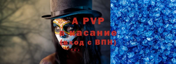 PSILOCYBIN Майский